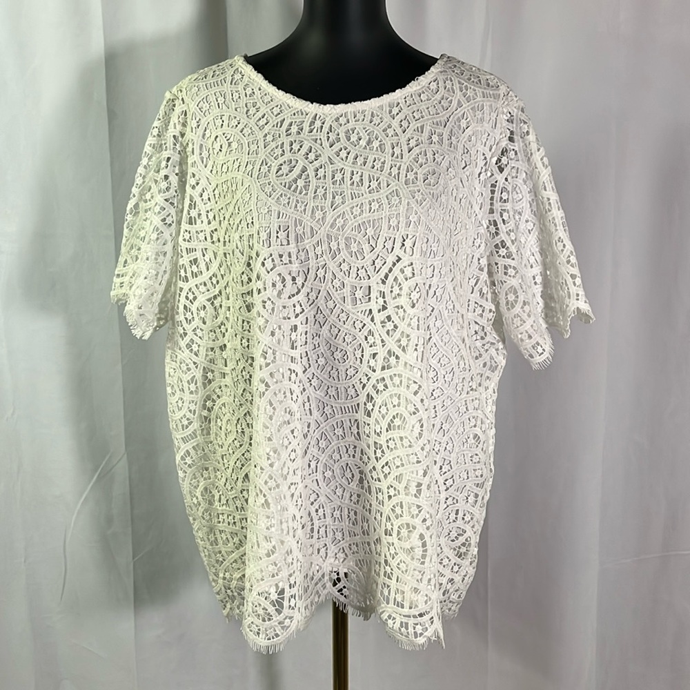 NWT Philosophy White Short Sleeve Round Neck Blouse